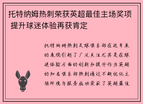 托特纳姆热刺荣获英超最佳主场奖项 提升球迷体验再获肯定